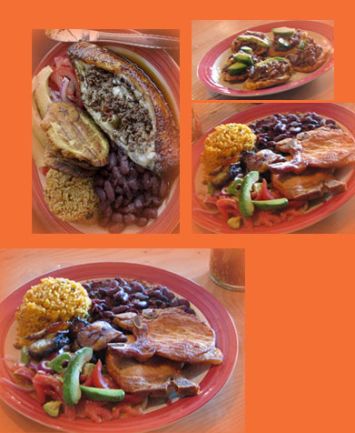El Coqui Starters